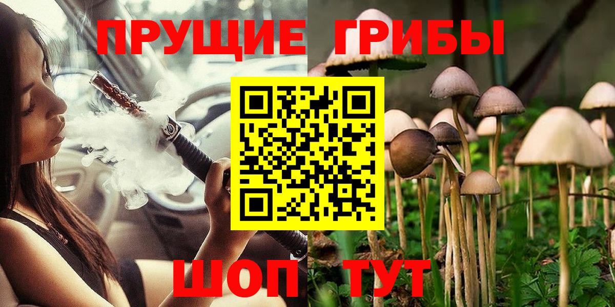 Псилоцибиновые грибы Cubensis Ишимбай